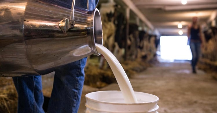 lait animal ou lait végétal comparaisons santé