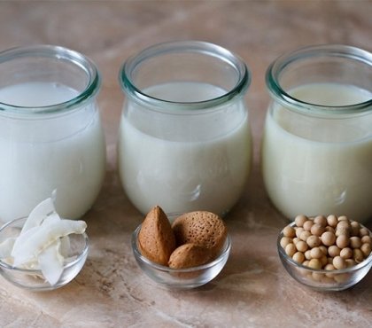 lait végétal maison amande noix coco soja variétés dossier santé avantages inconvénients