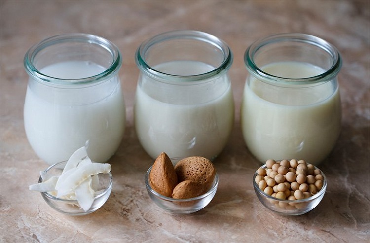 lait végétal maison amande noix coco soja variétés dossier santé avantages inconvénients