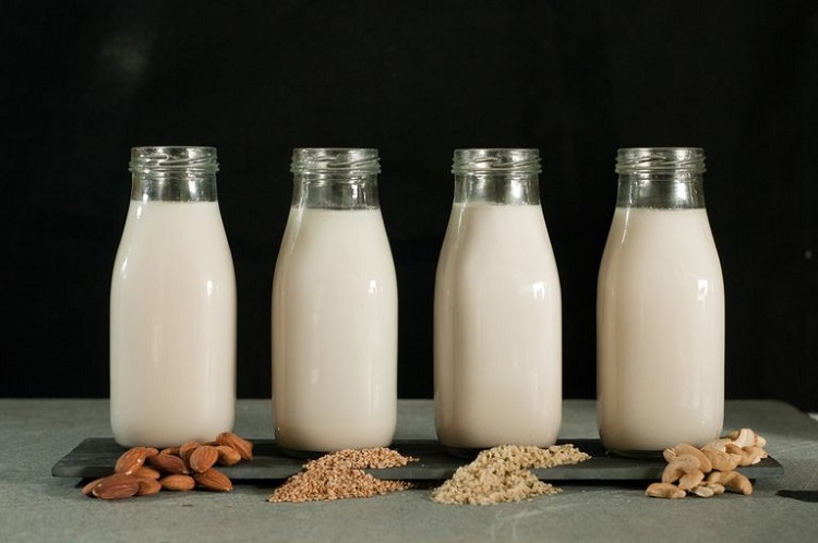 lait végétal maison recettes variées zoom vertus santé
