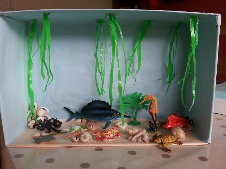 que faire avec une boîte à chaussure recyclage fabriquer un aquarium alternatif