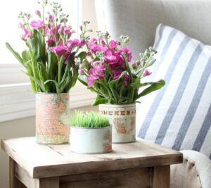 recyclage boîte de conserve fleurs plantes design cool
