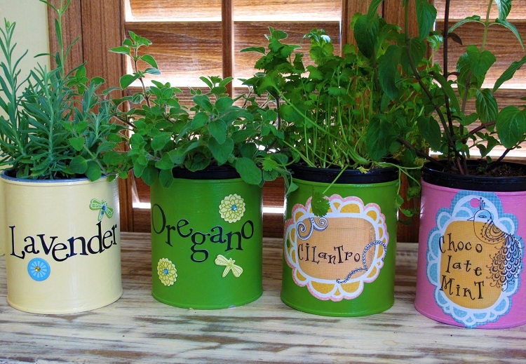recyclage boîte de conserve plantes aromatiques design ludique et mignon