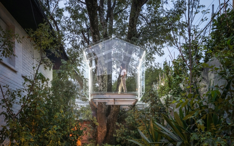 cabane transparente suspendue dans arbres Mexico City maison architecte signée Gerard Broissin