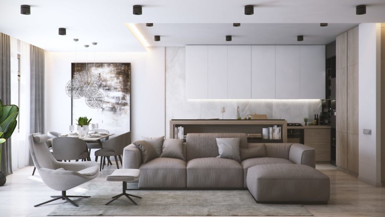 couleurs neutres éclairage moderne espace ouvert salon canapé confortable