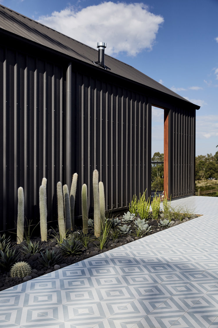façade noir dallage géométrique jardin avec cactus et succulentes