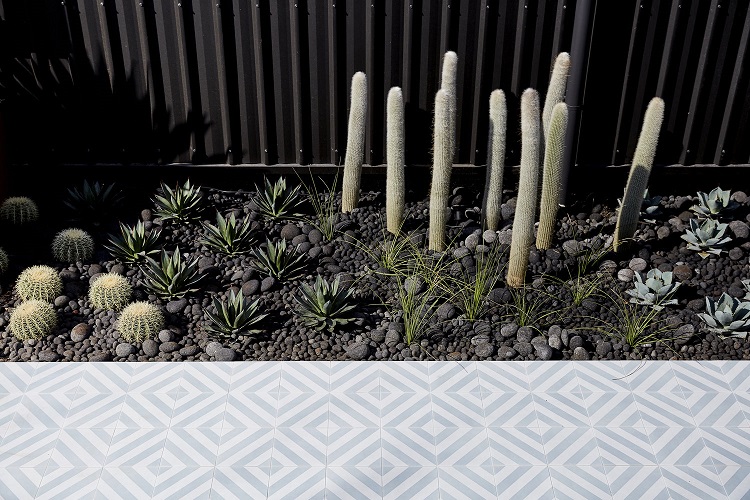 jardin succulentes cactus dallage géométrique