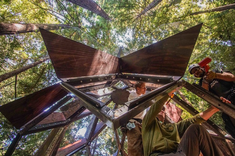 cabane O2 forme pomme de pin bois séquoia acier verre