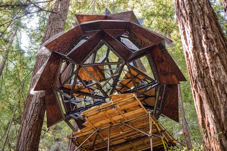 cabane géodésique forme pomme de pin structure acier bois séquoia californien verre