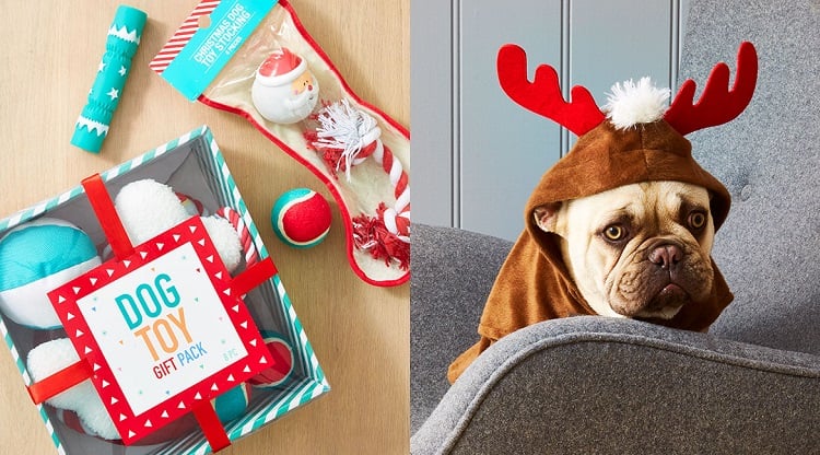 cadeau de Noël pour chien et chat idées DIY ludiques créatives animaux compagnie