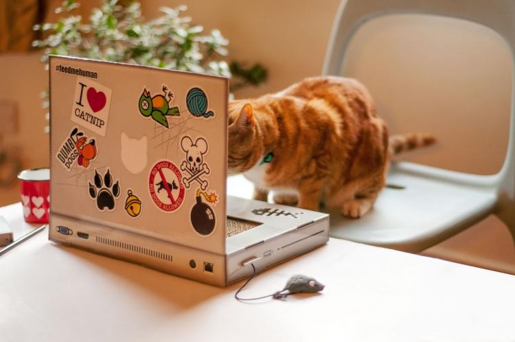 cadeau de Noël pour chien et chat ordinateur jouet félin