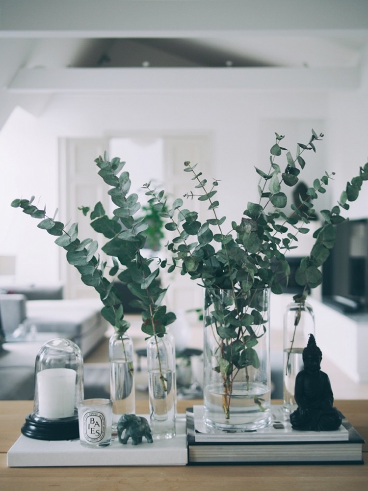 déco d'hiver en eucalyptus vases en verre intérieur moderne