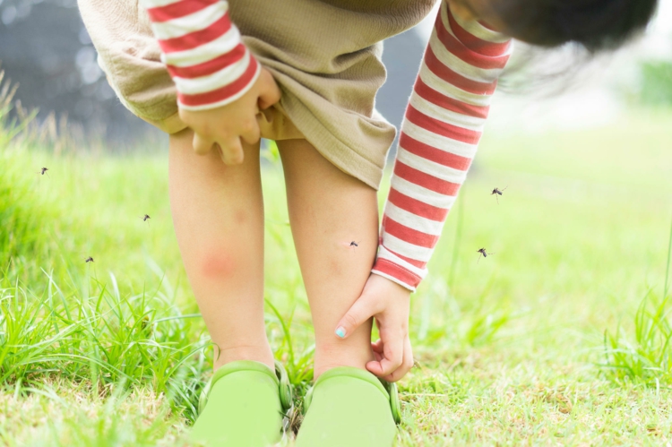 Piqure De Moustique Bebe Astuces Pour Prevenir Et Traiter