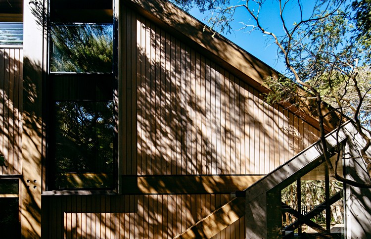 toit en pente habillage bois fenêtres cabane contemporaine
