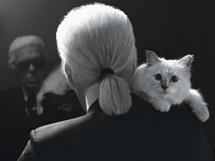 mort de Karl Lagerfeld héritage chatte Choupette