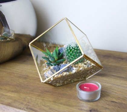 jardin miniature avec des cactus forme géométrique déco moderne