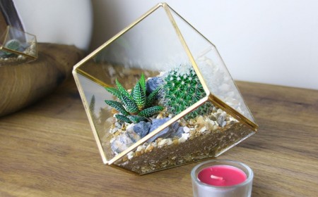 jardin miniature avec des cactus forme géométrique déco moderne