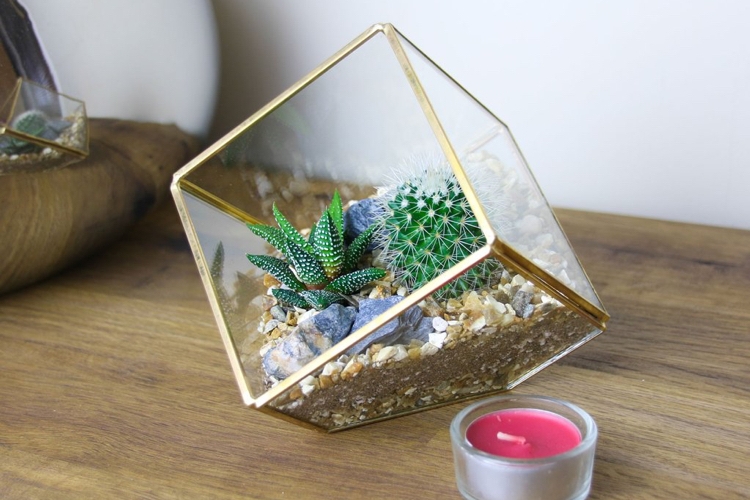 jardin miniature avec des cactus forme géométrique déco moderne