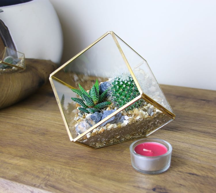 jardin miniature avec des cactus forme géométrique déco moderne