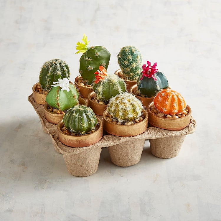 jardin miniature avec des cactus idée récup petits cactus