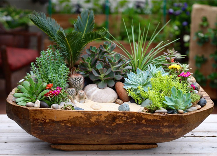 jardin miniature avec des cactus jardinière en bois sable coloré