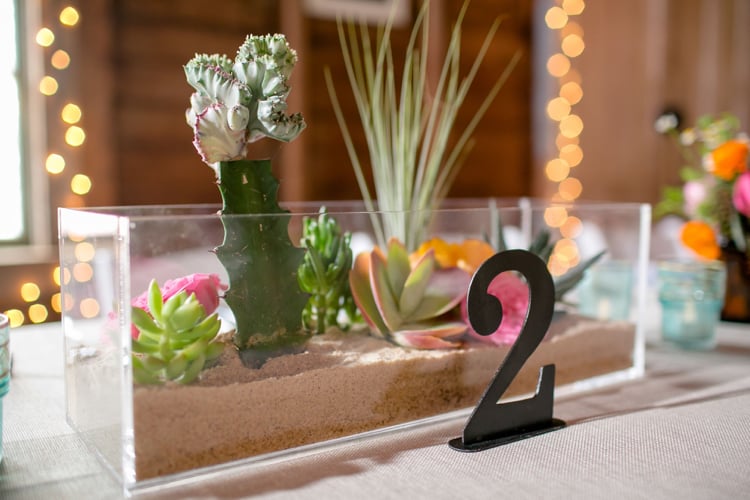 jardin miniature avec des cactus sable décoratif centre de table