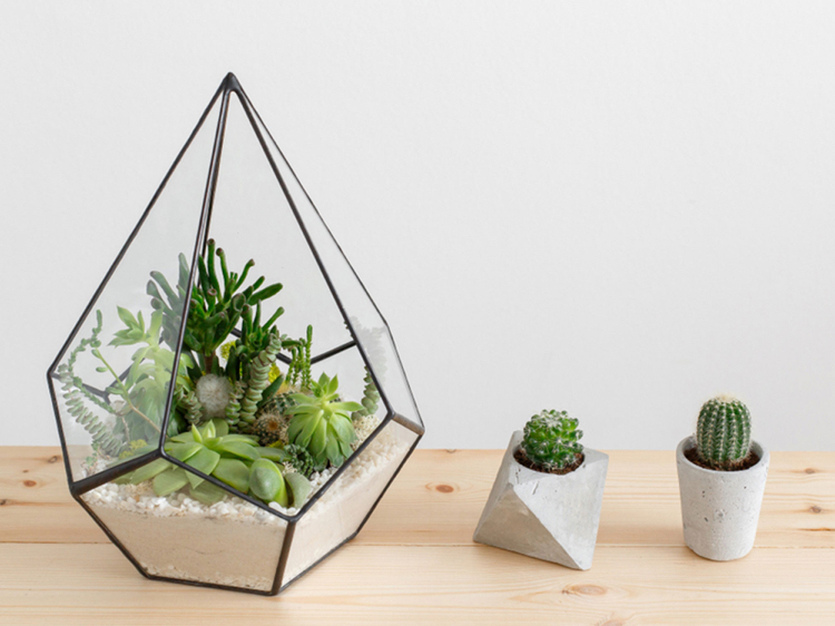 jardin miniature avec des cactus sable décoratif déco minimaliste