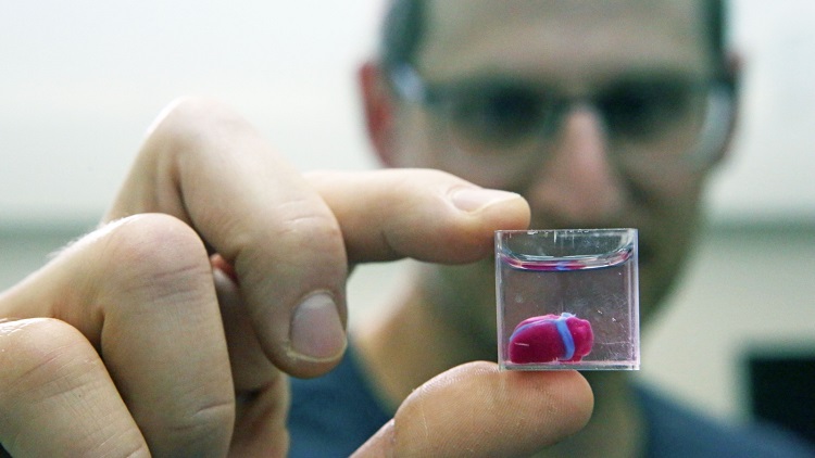 Cœur en 3D scientifiques israéliens