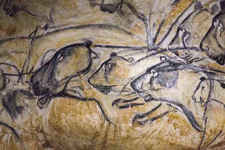 grotte Chauvet France representation dessins lions