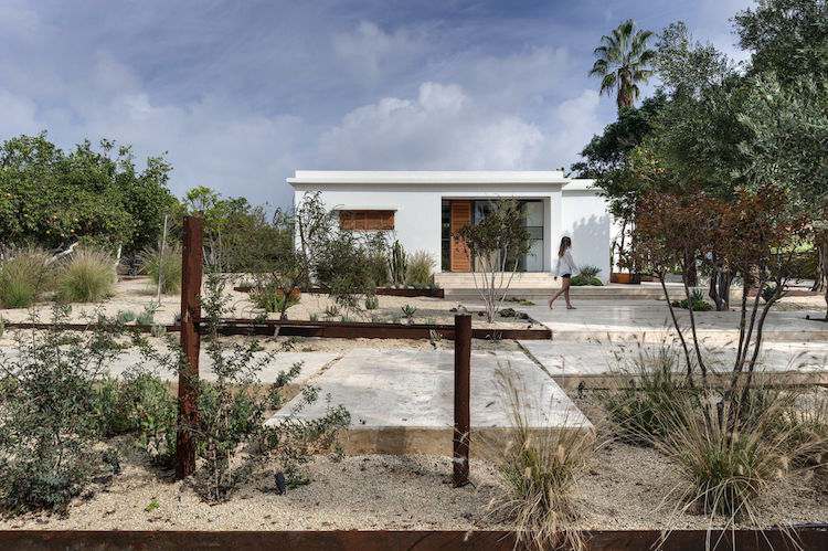 jardin de cactus acier corten Mediterranean Cacti House Henkin Shavit Israel