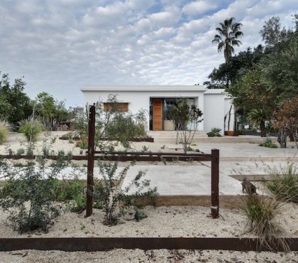 jardin de cactus orangers bordure de jardin acier Corten residence privee renovee