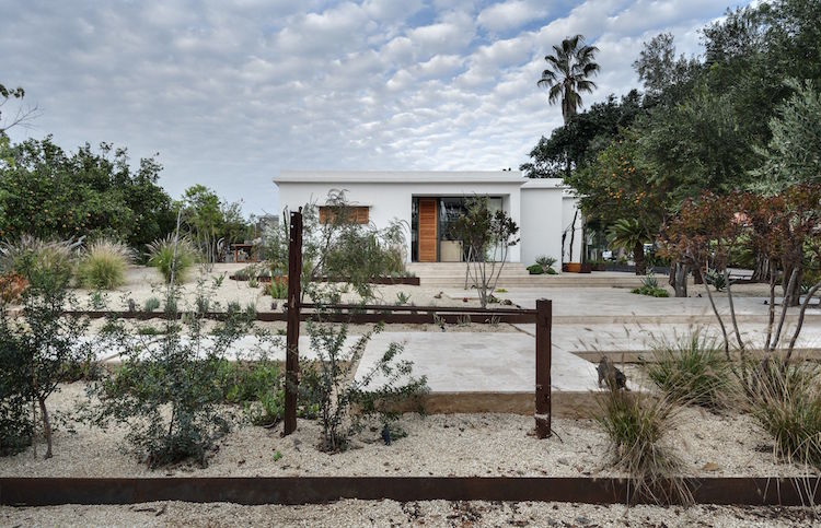 jardin de cactus orangers bordure de jardin acier Corten residence privee renovee