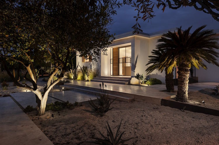 jardin de cactus plantes grasses palmiers orangers residence renovee Mediterranean Cacti House