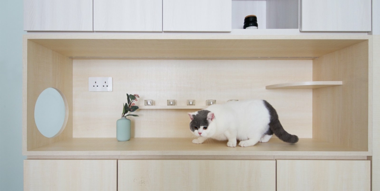kitchenette sur mesure adaptee chat de compagnie