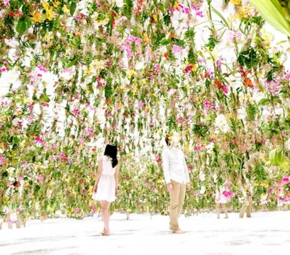 le jardin des fleurs en l'air TeamLab installation interactive