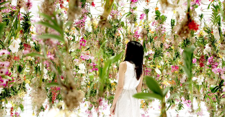 le jardin des fleurs en l'air installation interactive musee Miraikan Tokyo