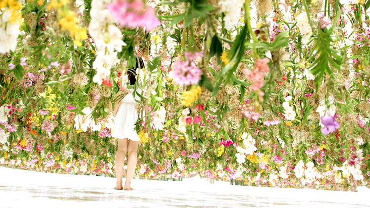 le jardin des fleurs en l'air musee Miraikan Tokyo projet TeamLab