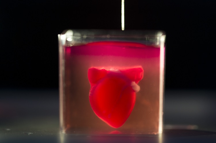 le premier cœur en 3D chercheurs israéliens