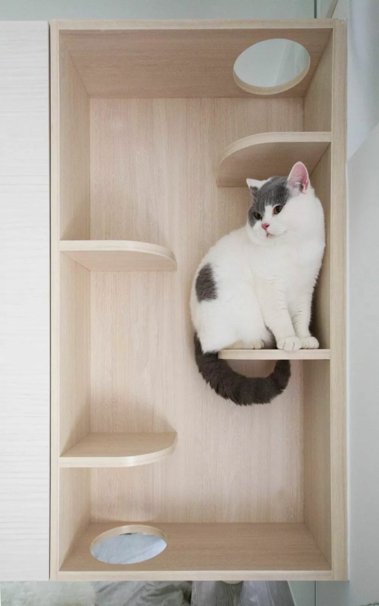 meuble pour chat sur mesure etageres trous