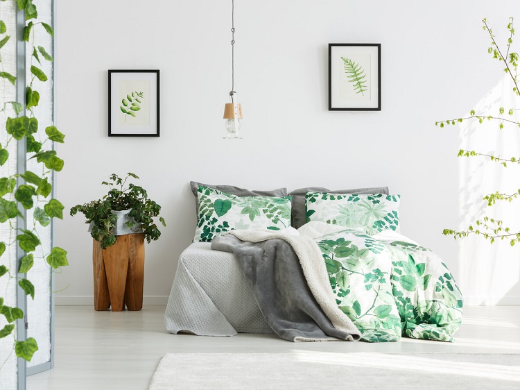 plante pour chambre coucher moderne apaisante idées vertes favoriser sommeil