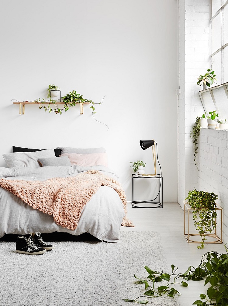 plante pour chambre à coucher cosy style minimaliste