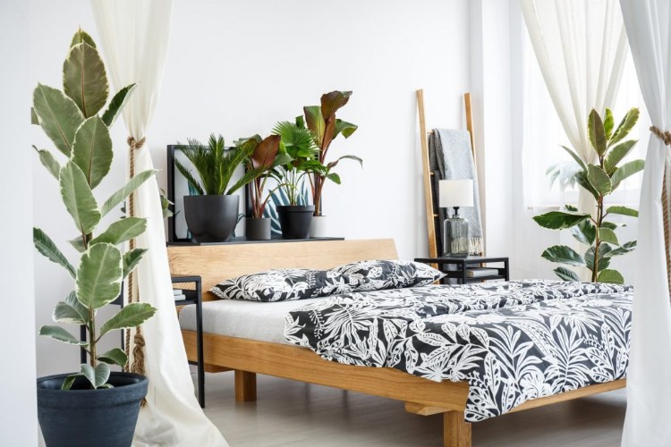 plante pour chambre à coucher style scandinave