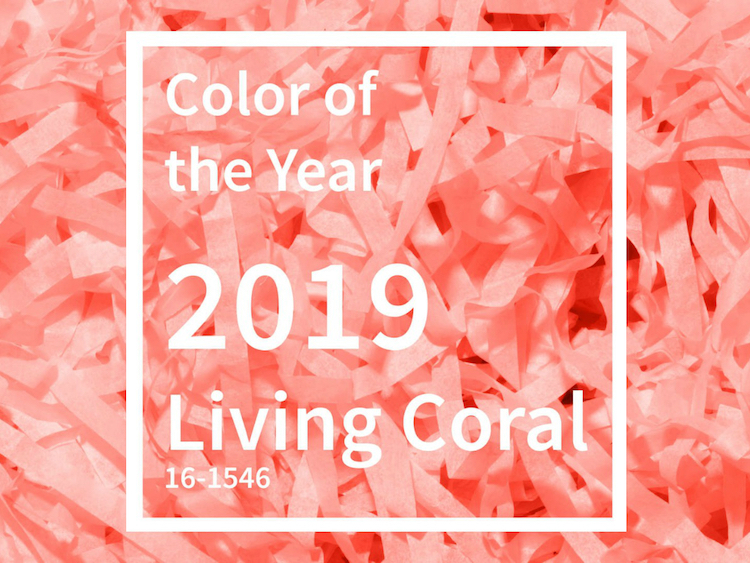 couleur de l annee 2019 Pantone Living Coral