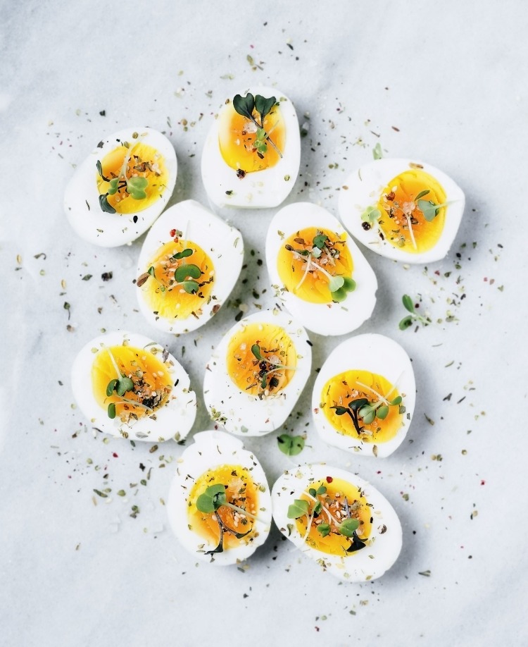 top aliments riches en protéines animales privilégier menu alimentaire protéiné œufs