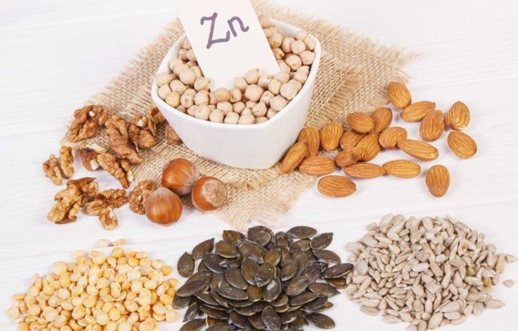 carences alimentaires en zinc régime végétalien noix