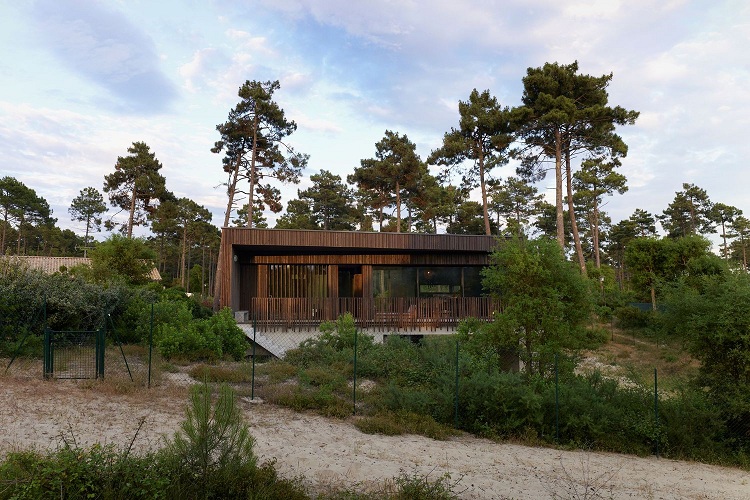 façade en bois maison dans la forêt déco naturelle