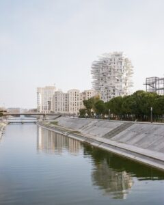 l’Arbre blanc de Montpellier fleuve Lez