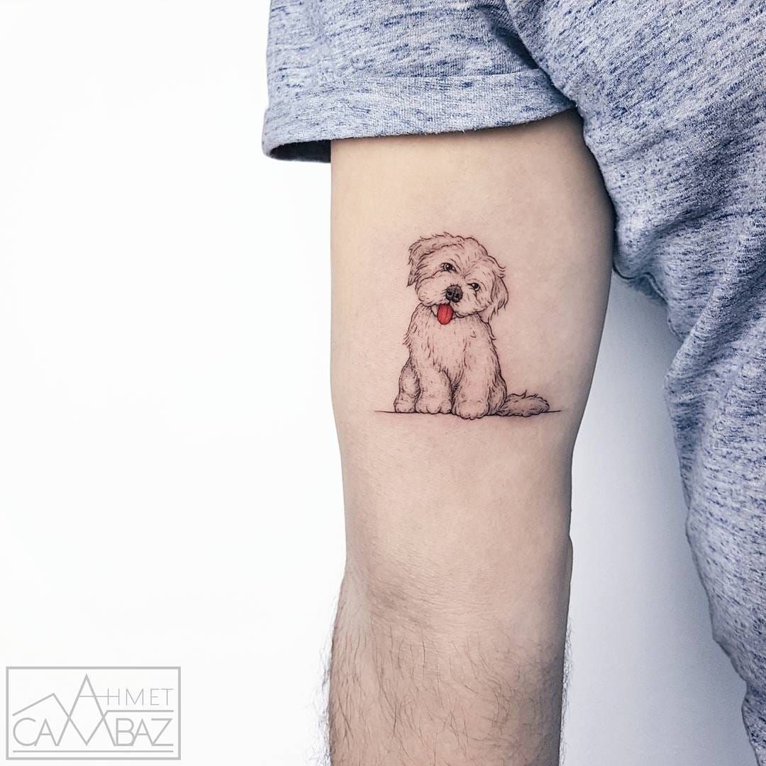 petit tatouage homme chien avant-bras touche de couleur