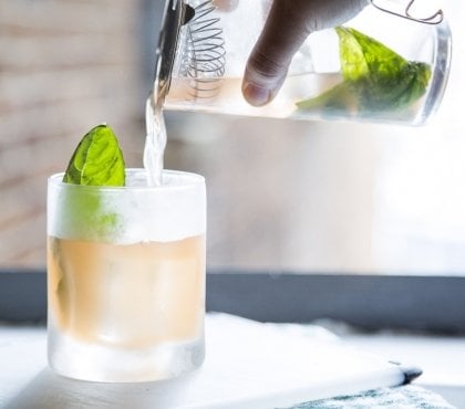 10 cocktails gin fizz recettes variées