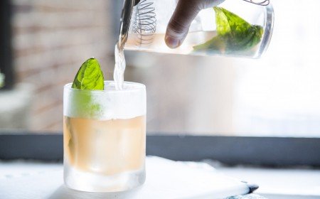 10 cocktails gin fizz recettes variées